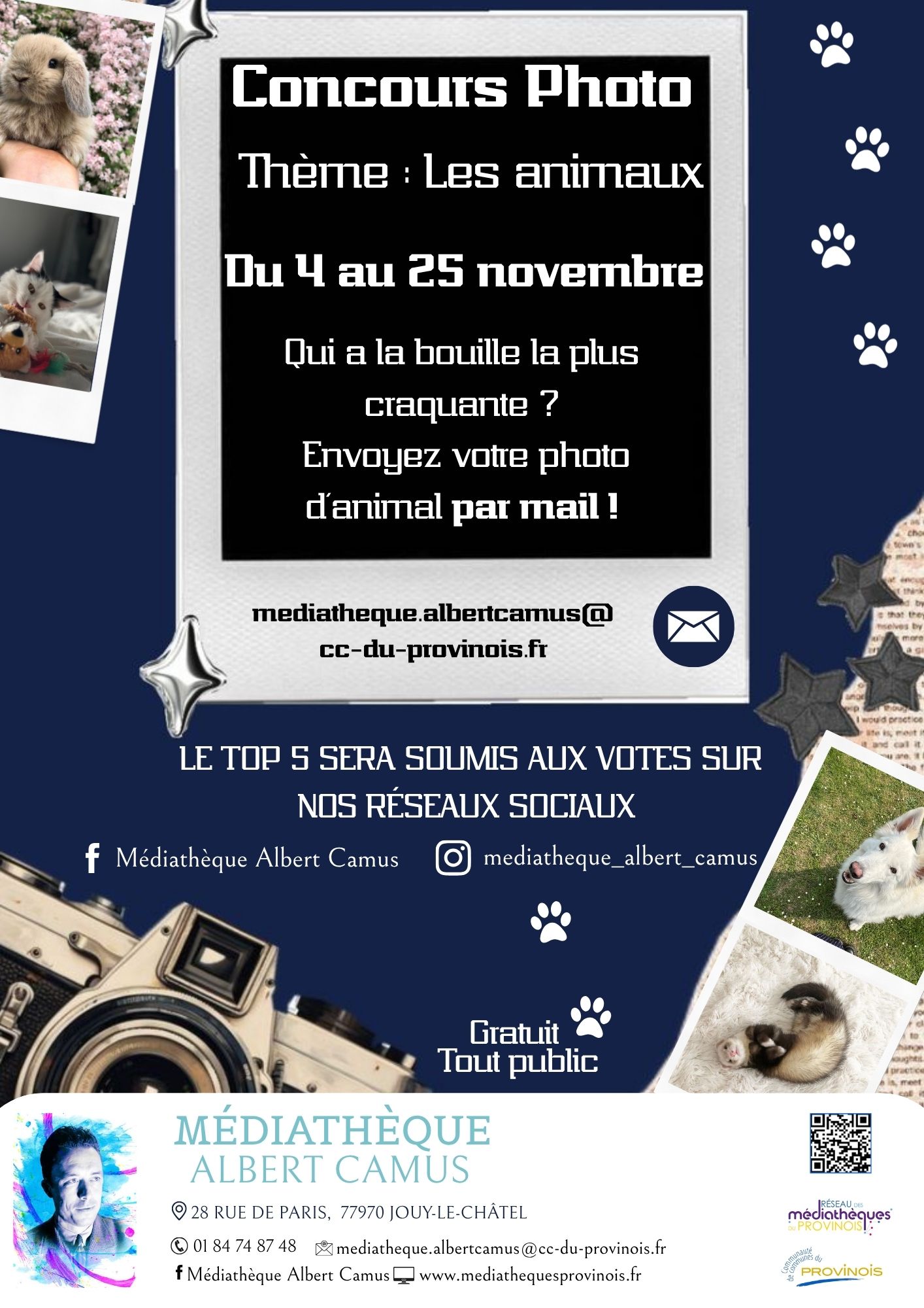 affiche concours photo montrant des photos d'animaux 